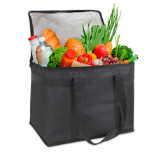 Load image into Gallery viewer, Trailmaker Large Insulated Food Delivery Bag / Pan Carrier